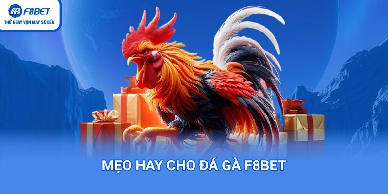 Mẹo hay cho đá gà F8BET